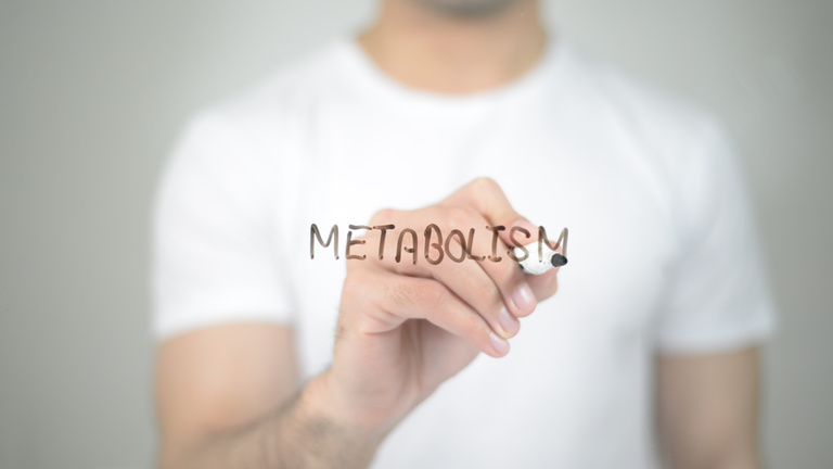 Metabolism, man writing on transparent screen